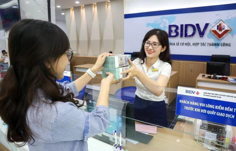 Many banks in Vietnam promote green credit for sustainable growth. (Photo: VNA)
