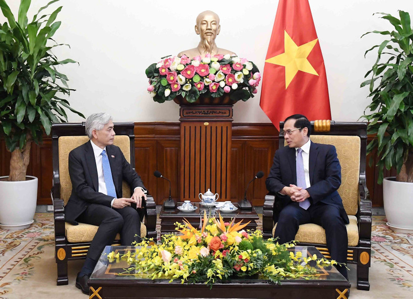 Deputy Prime Minister and Minister of Foreign Affairs Bui Thanh Son (R) receives Permanent Secretary of the Ministry of Foreign Affairs of Singapore Albert Chua on August 26 in Hanoi. (Photo: VNA)