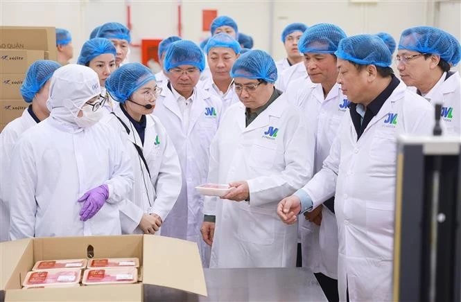 Prime Minister Pham Minh Chinh visits the Tam Dao livestock and beef processing complex project in Vinh Phuc (Photo: VNA)