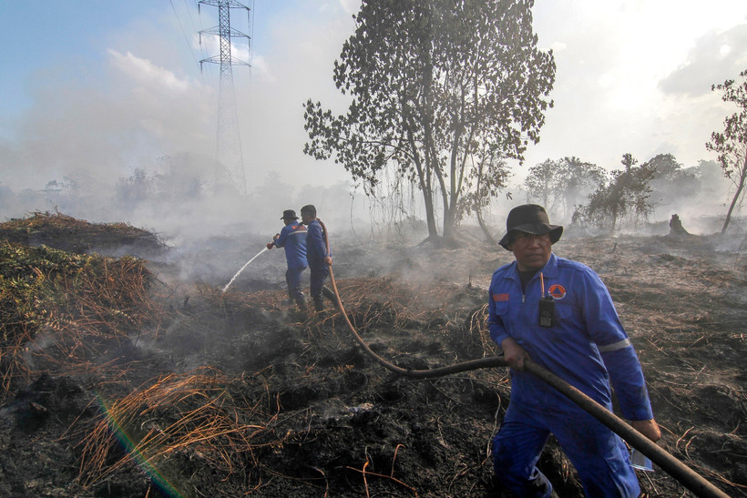 Firefighters try to extinguish a forest fire in Pekanbaru, Riau province, Indonesia. (Photo: XINHUA/VNA)