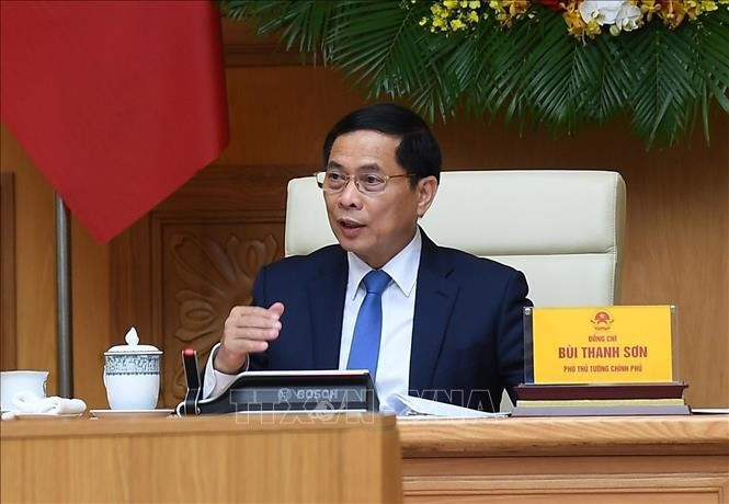 Deputy Prime Minister and Foreign Minister Bui Thanh Son (Photo: VNA)