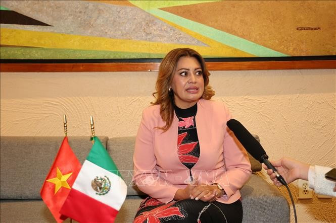 Ana Karina Rojo Pimentel, Chair of the Mexican Chamber of Deputies’ Welfare Committee and head of the Mexico – Vietnam Parliamentary Friendship Group. (Photo: VNA)