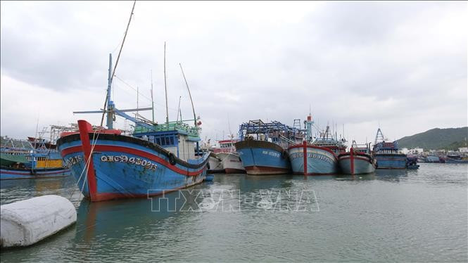 Illustrative photo (Source: VNA)