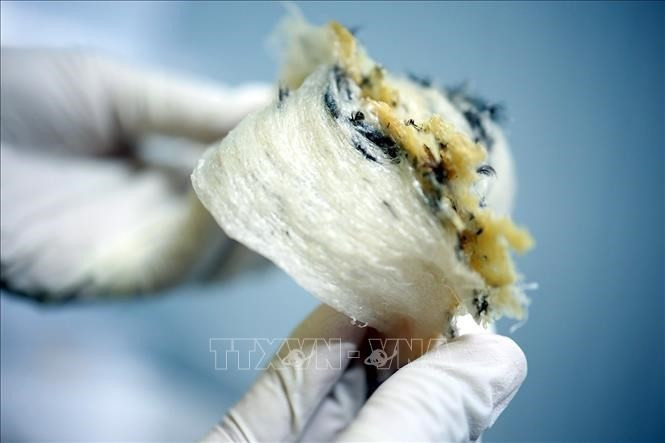 Illustrative photo (Photo: VNA)