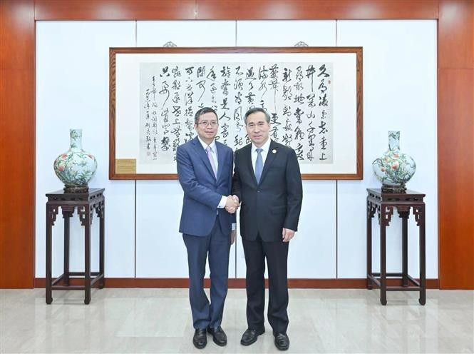 Vietnamese Ambassador to China Pham Thanh Binh (left) and Chairman of the China Council for the Promotion of International Trade Ren Hongbin. (Photo: VNA)