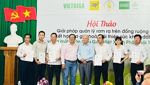 Representatives from companies receive certificates of trademark rights at the launch of the "Green and Low-Emission Vietnam Rice" trademark. (Photo: nld.com.vn)