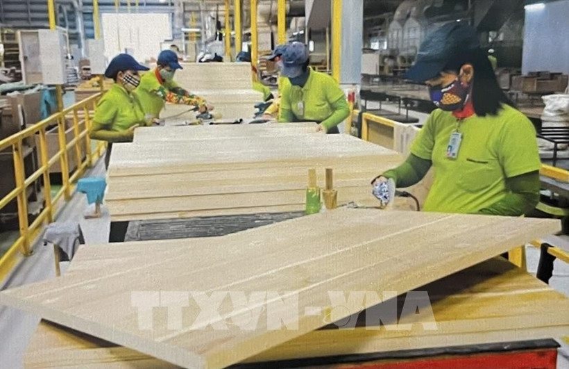 Workers in a wood factory (Photo: VNA)