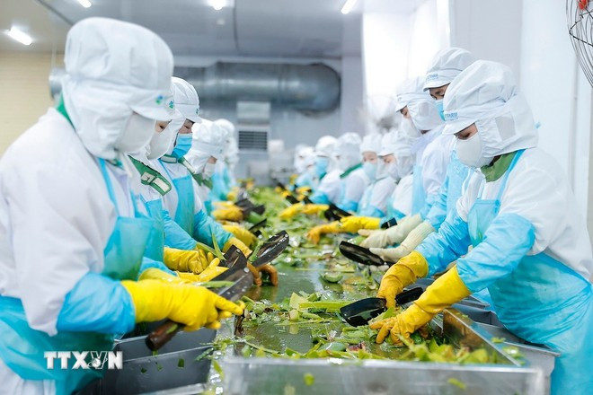 Azerbaijan is particularly interested in Vietnam's agricultural processing industry. (Photo: VNA)