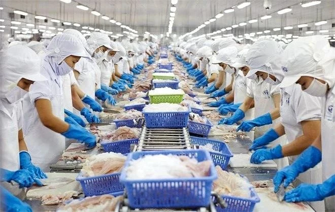 Processing seafood for exports (Photo: VNA)