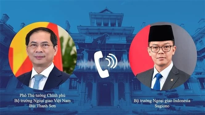 Deputy Prime Minister and Foreign Minister Bui Thanh Son holds a telephone talks with Indonesian Minister of Foreign Affairs Sugiono on February 10. (Photo: VNA)