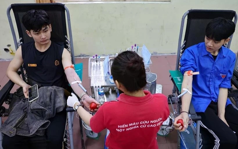 Young people donate blood at a voluntary blood donation event. (Photo: VNA)