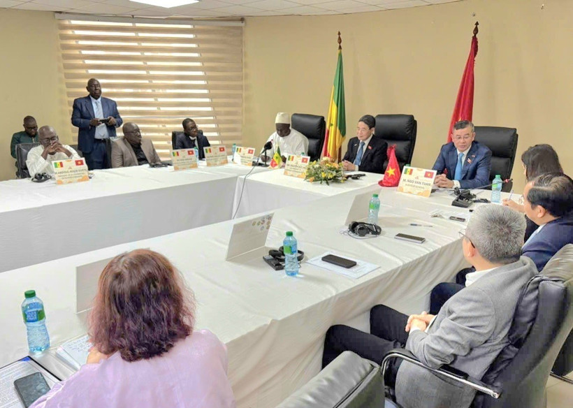 An overview of the working session (Photo: VNA)