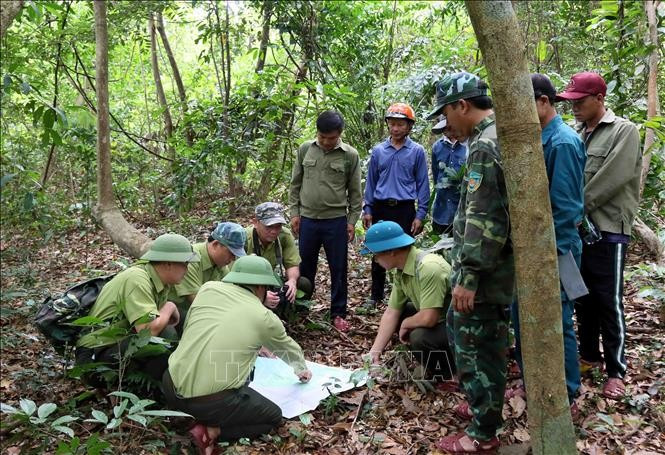 Patrol teams determine directions and mark the places they have visited in the Nha - Ke Bang National Park. (Photo: VNA)