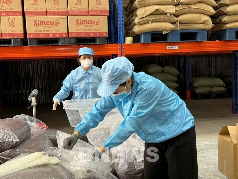 Workers pack the coffee husk for export. (Photo: Courtesy of Simexco Daklak)