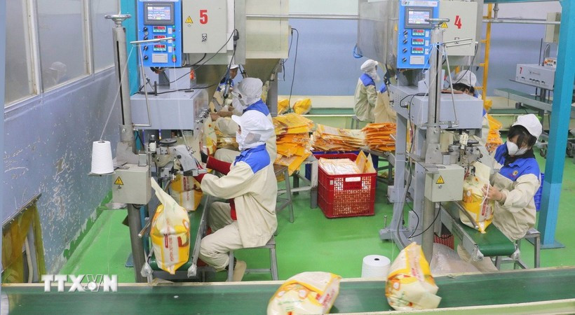 Workers package rice for export at the Thao Son food factory (Photo: VNA)