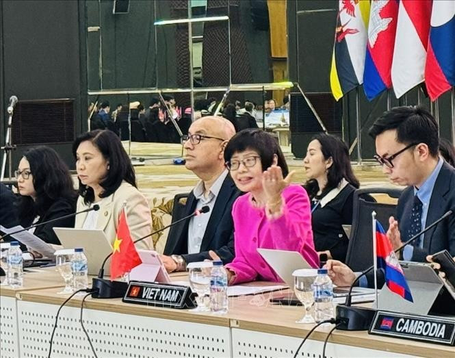 Permanent Representative of Vietnam to ASEAN Ambassador Ton Thi Ngoc Huong (second from right) chairs the meeting (Photo: VNA)