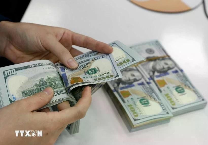 The State Bank of Vietnam set the daily reference exchange at 25,131 VND/USD on July 10. (Photo: VNA)