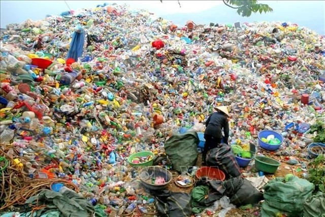 Plastic waste collection. Before the introduction of new regulations, the majority of used packaging was irresponsibly discarded into the environment. (Photo: VNA)