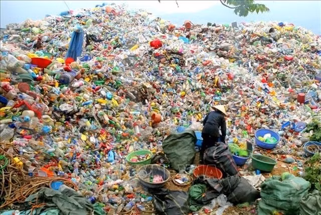 Plastic waste collection. Before the introduction of new regulations, the majority of used packaging was irresponsibly discarded into the environment. (Photo: VNA)