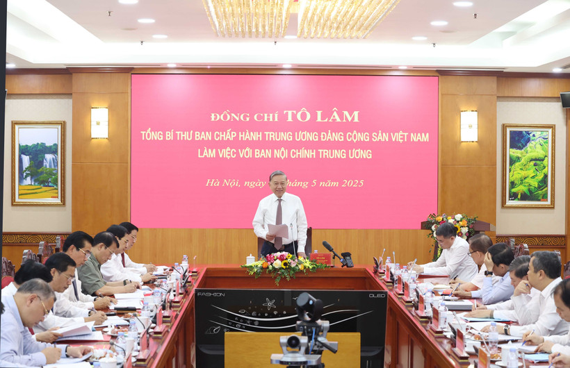 Party General Secretary To Lam speaks at the meeting with Party Central Committee's Commission for Internal Affairs. (Photo: VNA)