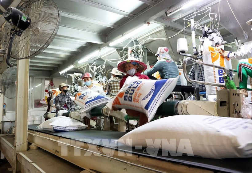 Vietnam ships 6.3 million tonnes of rice in the first eight months of this year. - Illustrative image (Photo: VNA)