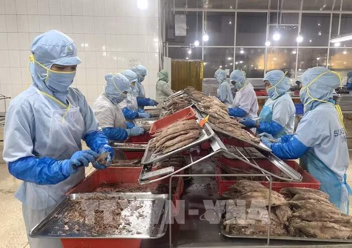 Workers produce canned tuna at the Seaspimex factory in Ho Chi Minh City. (Photo: VNA)