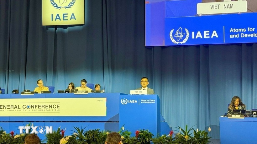 Ambassador Vu Le Thai Hoang, Permanent Representative of Vietnam to the United Nations and international organisations in Vienna, delivers remarks at the meeting. (Photo published by VNA)