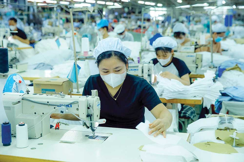 Illustrative photo (baodautu.vn)