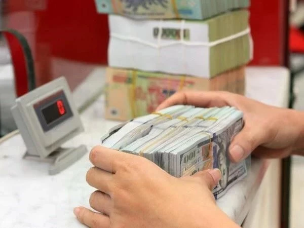 Remittances to Ho Chi Minh City in 2024 top 9.5 billion USD, up 0.9% year-on-year, according to the State Bank of Vietnam's branch in the city (Photo: VNA)