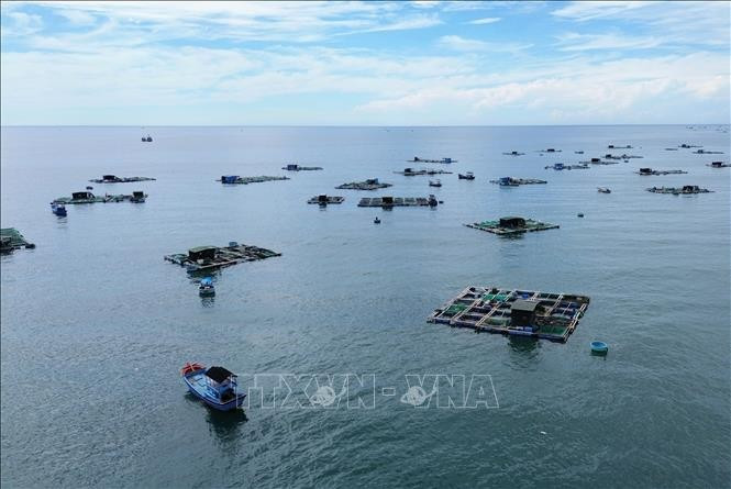 Model of farming in cages in Ninh Thuan. (Photo: VNA)