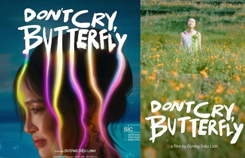 "Don't cry, Butterfly" poster (Photo: VNA)