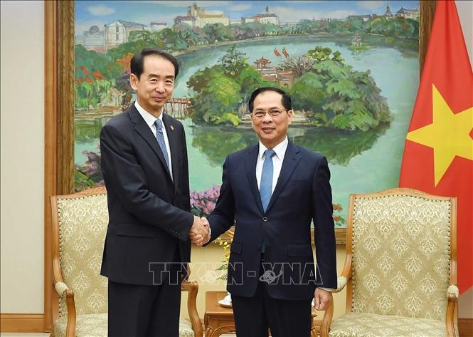 Deputy Prime Minister Bui Thanh Son (right) and Chinese Ambassador to Vietnam He Wei at their meeting on November 17 (Photo: VNA)