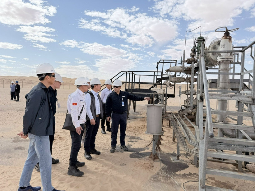 The delegation from the Vietnam National Industry-Energy Group visits the BSR-25 wellhead area, the main exploitation well of the Bir Seba oil field project (Photo: petrotimes.vn)