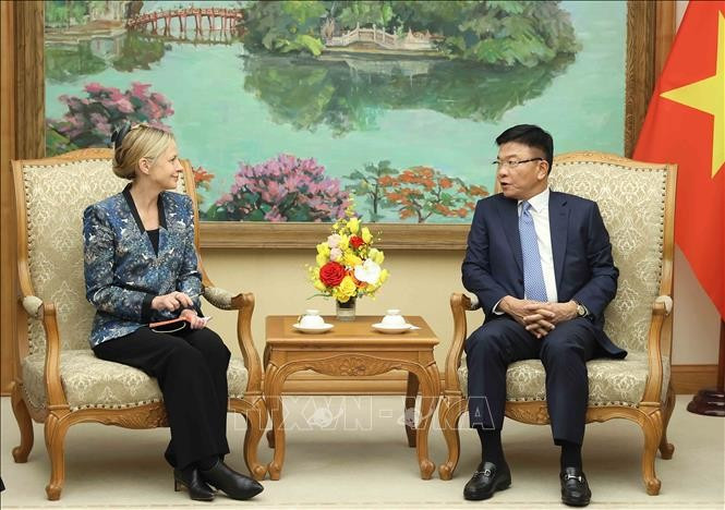 Deputy Prime Minister Le Thanh Long (R) and Amazon Vice President for International Public Policy & Government Affairs Susan Pointer at their meeting in Hanoi on December 5 (Photo: VNA)