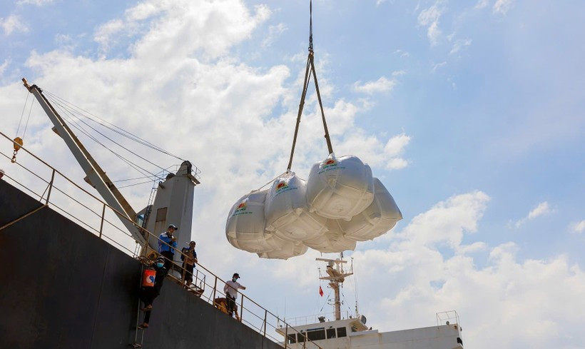 The quality of Vietnamese rice is evident as this product is now available in more than 150 countries and territories. (Photo: VNA)