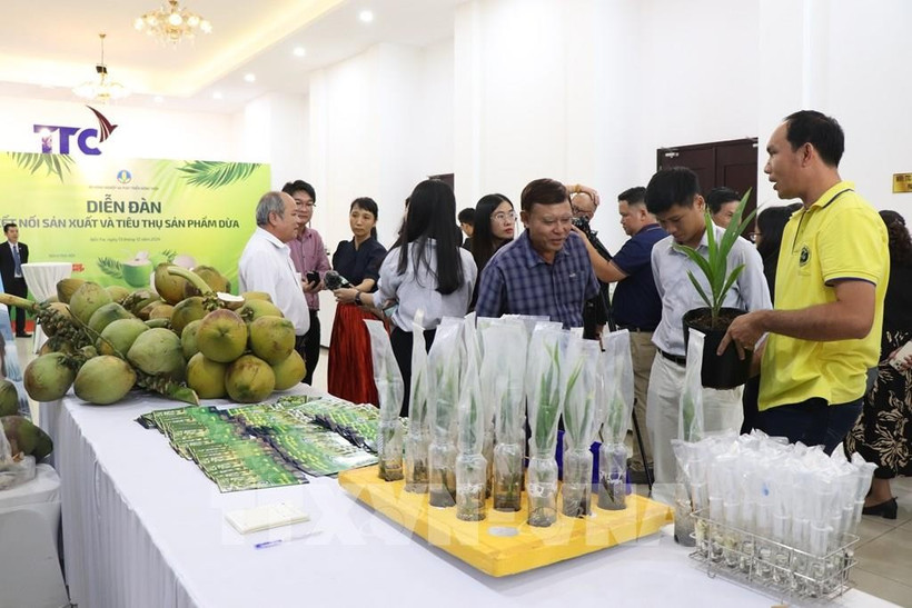 A conference on enhancing connectivity in production, trade, services and investment with Cambodian partners to be hosted by An Giang on October 17 is a key activity under the 2025 National Trade Promotion Programme. (Illustrative photo: VNA)