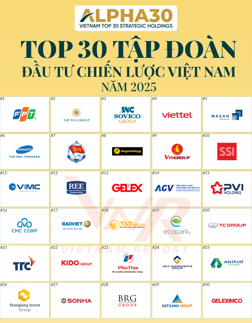The inaugural ALPHA30 ranking of the top 30 strategic investment corporations in Vietnam this year. (Source: thuehaiquan.tapchikinhtetaichinh.vn)