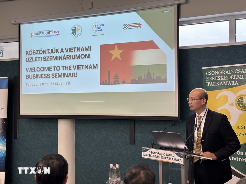 Vietnamese Ambassador to Hungary Bui Le Thai speaks at the seminar on trade promotion between the two countries in Szeged on October 28, 2025. (Photo: VNA)