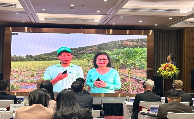 Vietfarm Food Joint Stock Company from Ninh Thuan province shares outcomes after receiving support from the project. (Photo: VietnamPlus)
