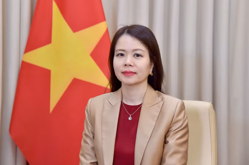 Deputy Minister of Foreign Affairs Nguyen Minh Hang (Photo: Vietnamese Ministry of Foreign Affairs)