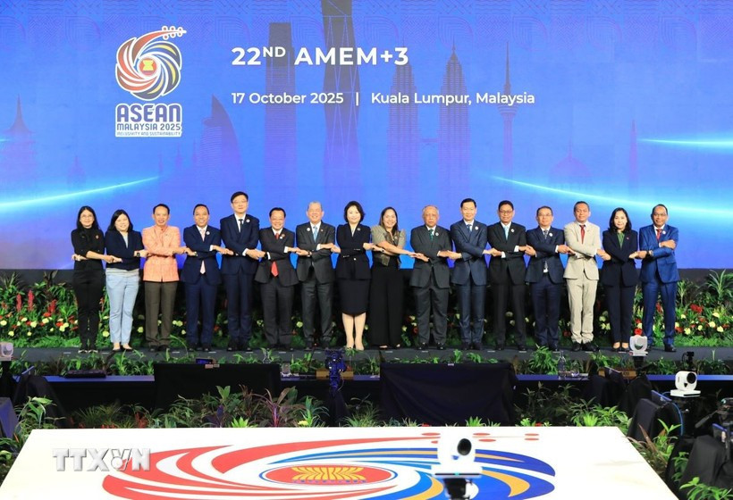 Delegates attend the ASEAN+3 Ministers on Energy Meeting. (Photo published by VNA)