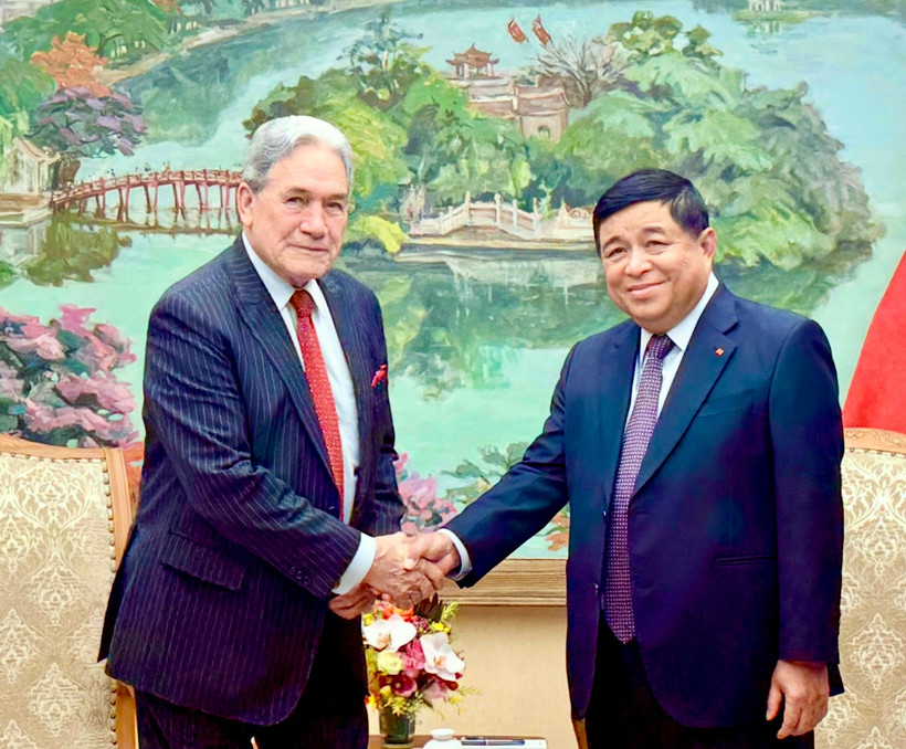 Deputy Prime Minister Nguyen Chi Dung (R) and Winston Peters, Minister of Foreign Affairs of New Zealand, at their meeting in Hanoi on November 25. (Photo: VNA)