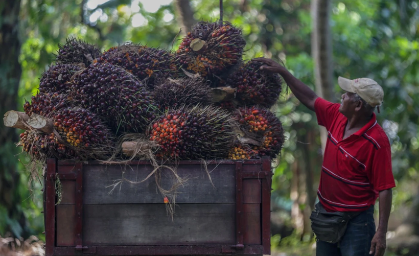 Illustrative photo (Photo: nst.com.my)
