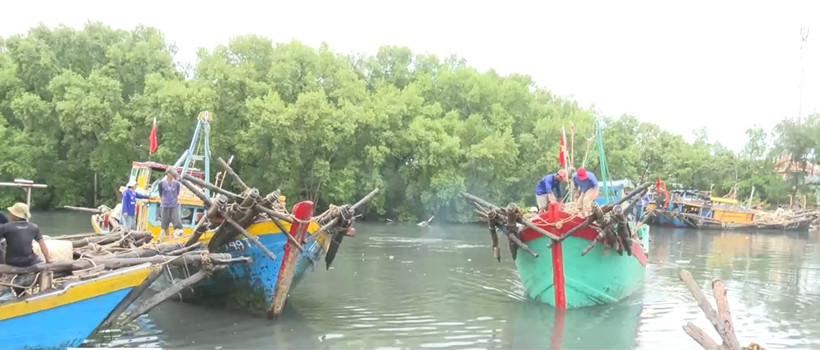Dong Thap has completed registration for its fleet of 1,505 fishing vessels. (Illustrative photo: VNA)