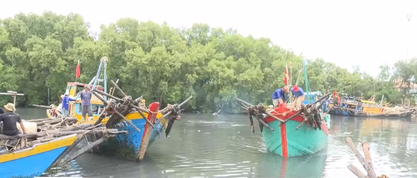 Dong Thap has completed registration for its fleet of 1,505 fishing vessels. (Illustrative photo: VNA)