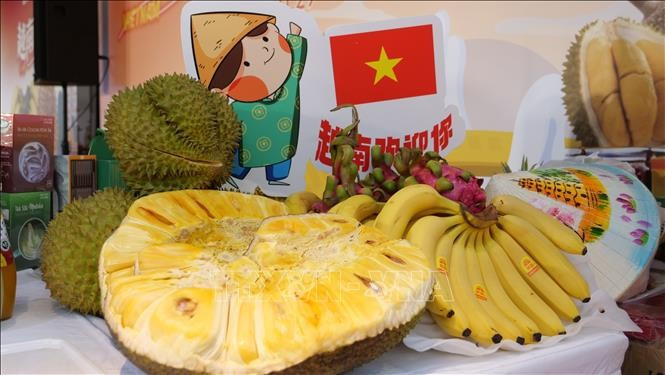 Jackfruit, durian, and bananas are among the Vietnamese fruits favoured by Chinese consumers.(Photo: VNA) 