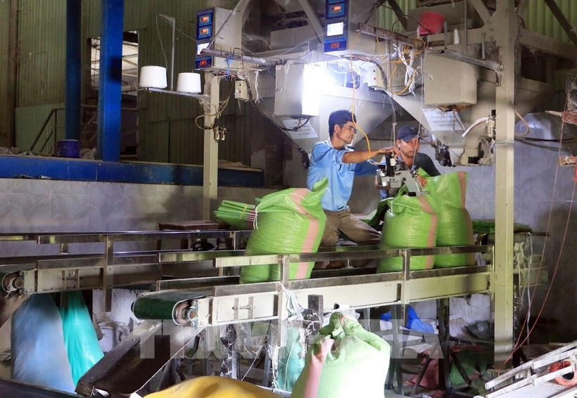 Illustrative image (Photo: VNA)