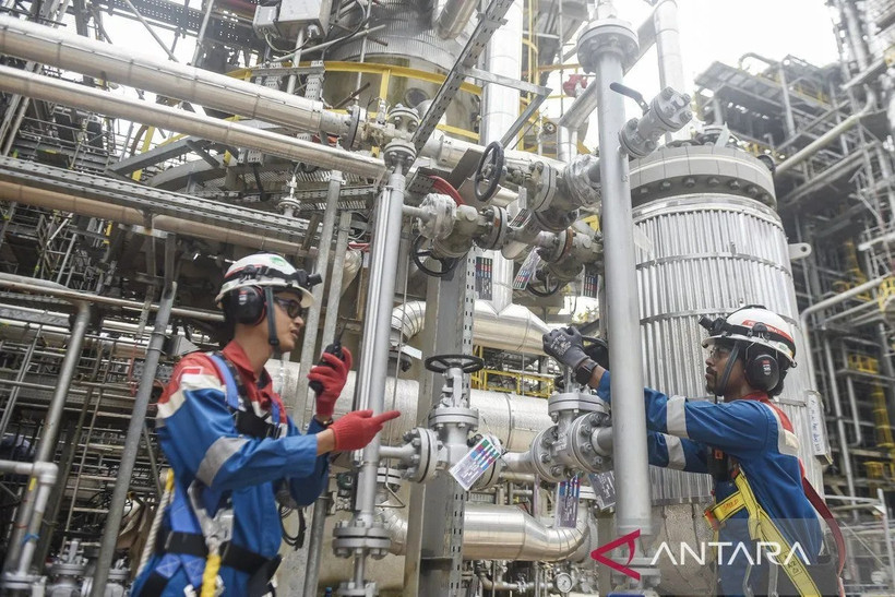 Illustrative image (Photo: Antara)