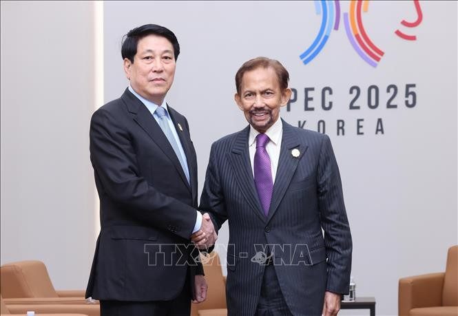 Vietnamese State President Luong Cuong (left) and Sultan of Brunei Hassanal Bolkiah. (Photo: VNA)