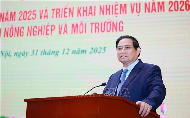 Prime Minister Pham Minh Chinh addresses the conference on December 31. (Photo: VNA)